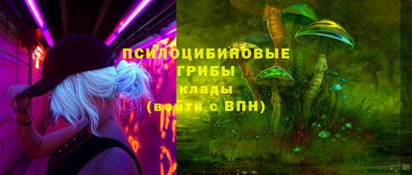 apvp Алексин