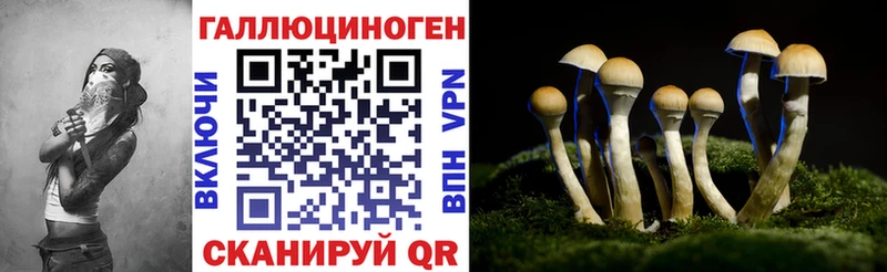 Псилоцибиновые грибы прущие грибы  Чердынь 