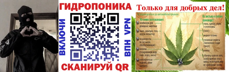 закладка  Чердынь  Конопля сатива 